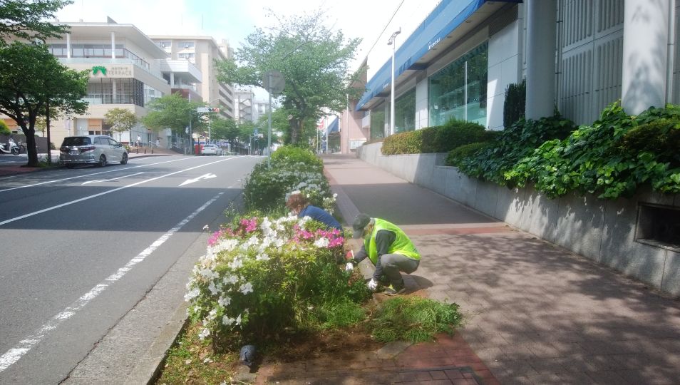 花の手入れと清掃ボランティア募集！の記事|たまプラーザ横浜市青葉区|ロコっち